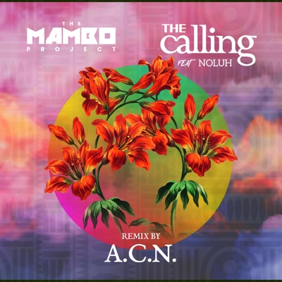 The Calling (A.C.N. Remixes) - Single