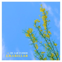 De las Flores Amarillas (feat. Artesano del Son) - Single - De La Diáspora