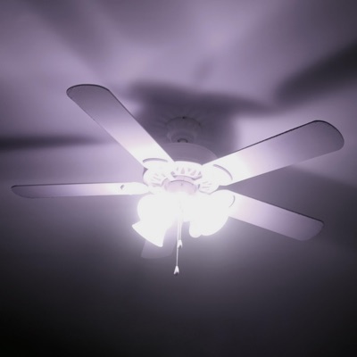 Electric Room (feat. Tori Gesualdo) - Single