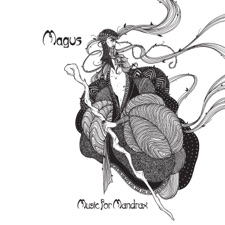 Magus - The Magus