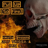 Pull Up (So Fire) (feat. Jay Trigga) - Single - 1 Mic G.