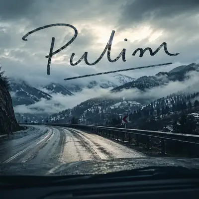 Listen to Pulim - Single by Hüseyin Yıldırım Official