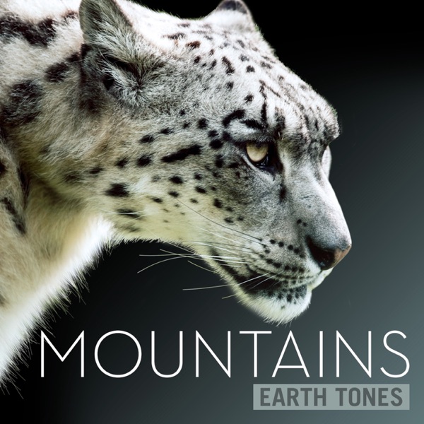 One Thousand Summits