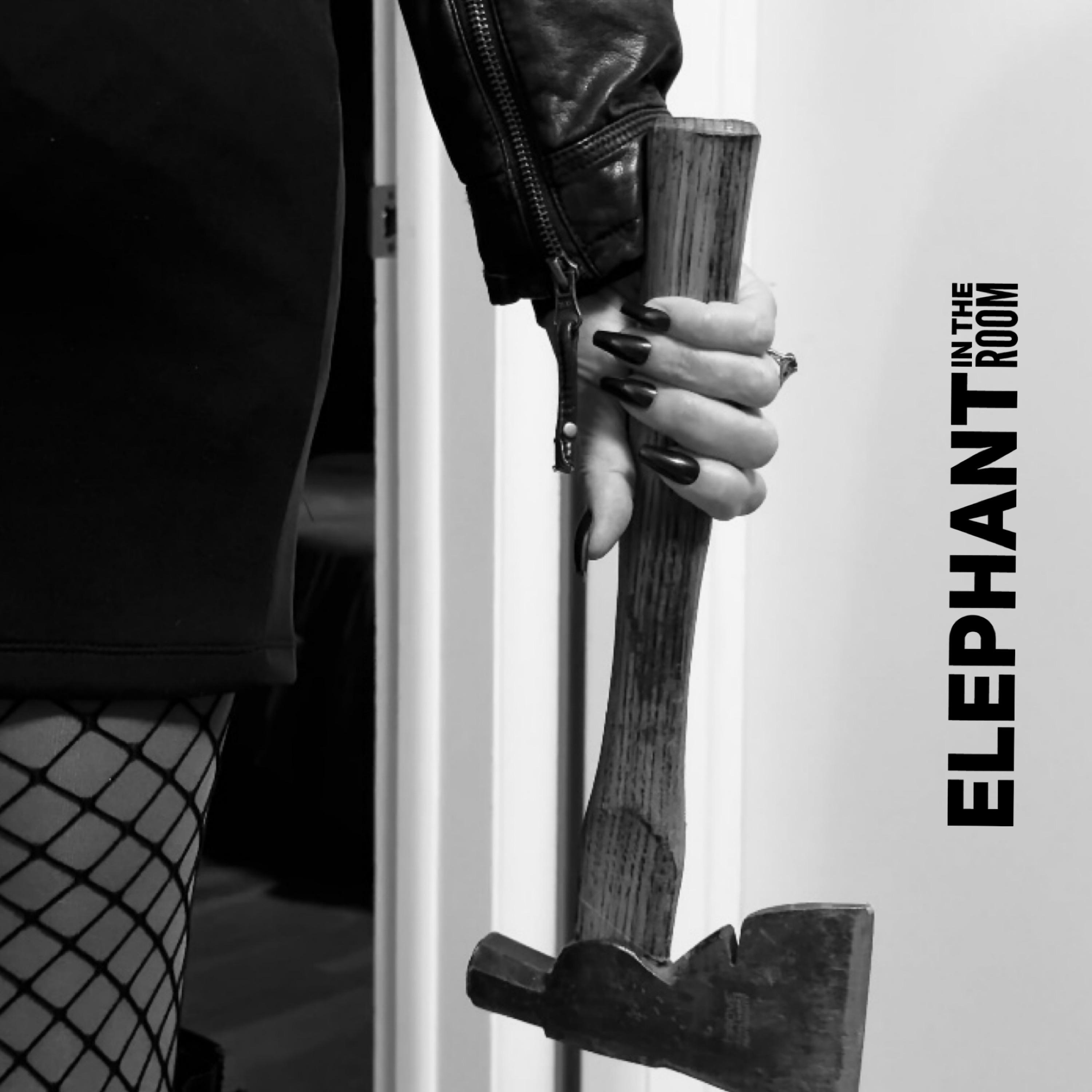 Elephant in the Room - Single