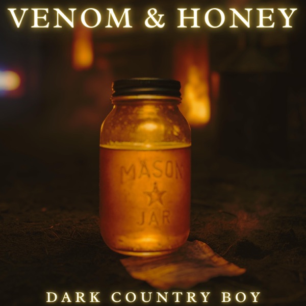 Overdose on Yesterday (Dark Country Music)