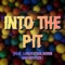 Into the Pit (Freddie Evans Remix) - Freddie Evans, LongestSoloEver & KryFuZe lyrics