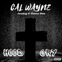 Hood Cry (feat. Stunna Bam & Junebug) - Single - Cal Wayne