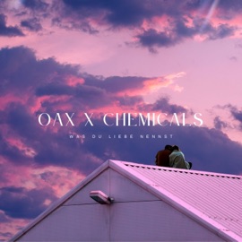 Was du Liebe nennst (Techno Version) Oax & Chemicals