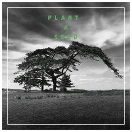 Plant a Seed (feat. The DUKE$) Keepin' It Cloudy