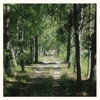 Sommaren - Single