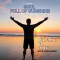SOUL FULL OF SUNSHINE