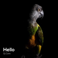 Hello - Single - DJ Care