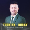 Turkiya - Dubay