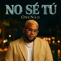 NO SÉ TÚ (feat. ÓneNáii) - Single - Amaurys mc