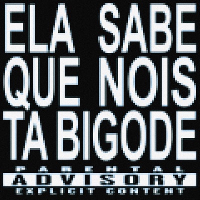 Ela Sabe Que Nóis Tá Bigode - Single