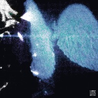 lotus - Single - mercxry