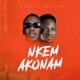 Nkem Akonam feat FB Single
