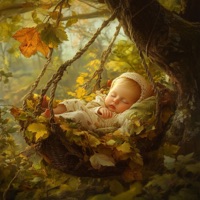 Rainforest Pipa Dream - EP - Baby Lullaby