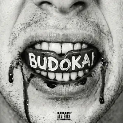Listen to BUDOKAI by Garfio R, CCF & Hellios