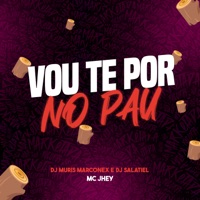 Vou Te por no Pau - Single - Mc Jhey, DJ MURIS MARCONEX & DJ Salatiel