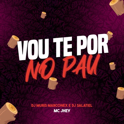 Vou Te por no Pau - Single