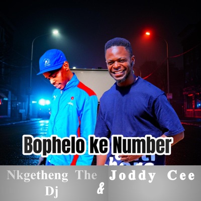 Bophelo Ke Number (Official audio) (feat. Nkgetheng The Dj) - Single
