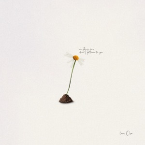 Venting - Single