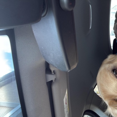 Die Gedanken sind Frei - Single