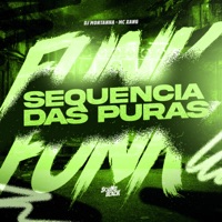 Sequencia das Puras - Single - MC Xang
