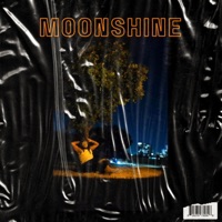 Moonshine (feat. TFLU) - Single - Ytobechi