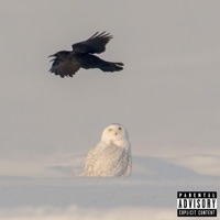 JETS & BILLS - Single - Vincent, The Owl & Rando LaFlare