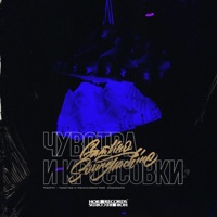 Чувства и кроссовки (feat. zlayasyka) - Single - Kashin & Gambino Sound Machine