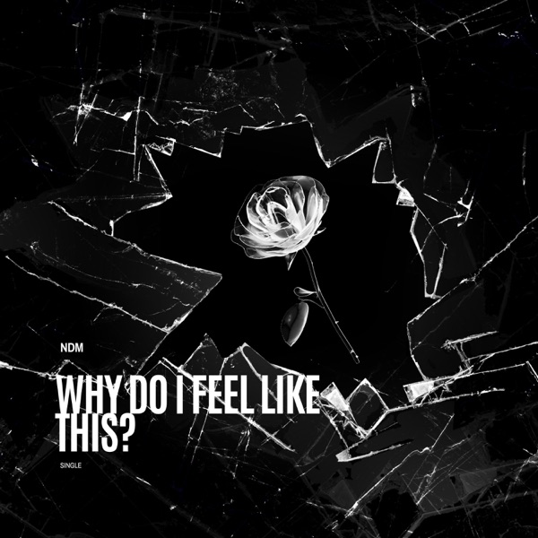 Why Do I Feel Like This?