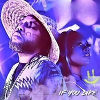 IF YOU LIKE (feat. Shawney Rainne) [Radio Edit] - Single - FOUNDATION MECCA