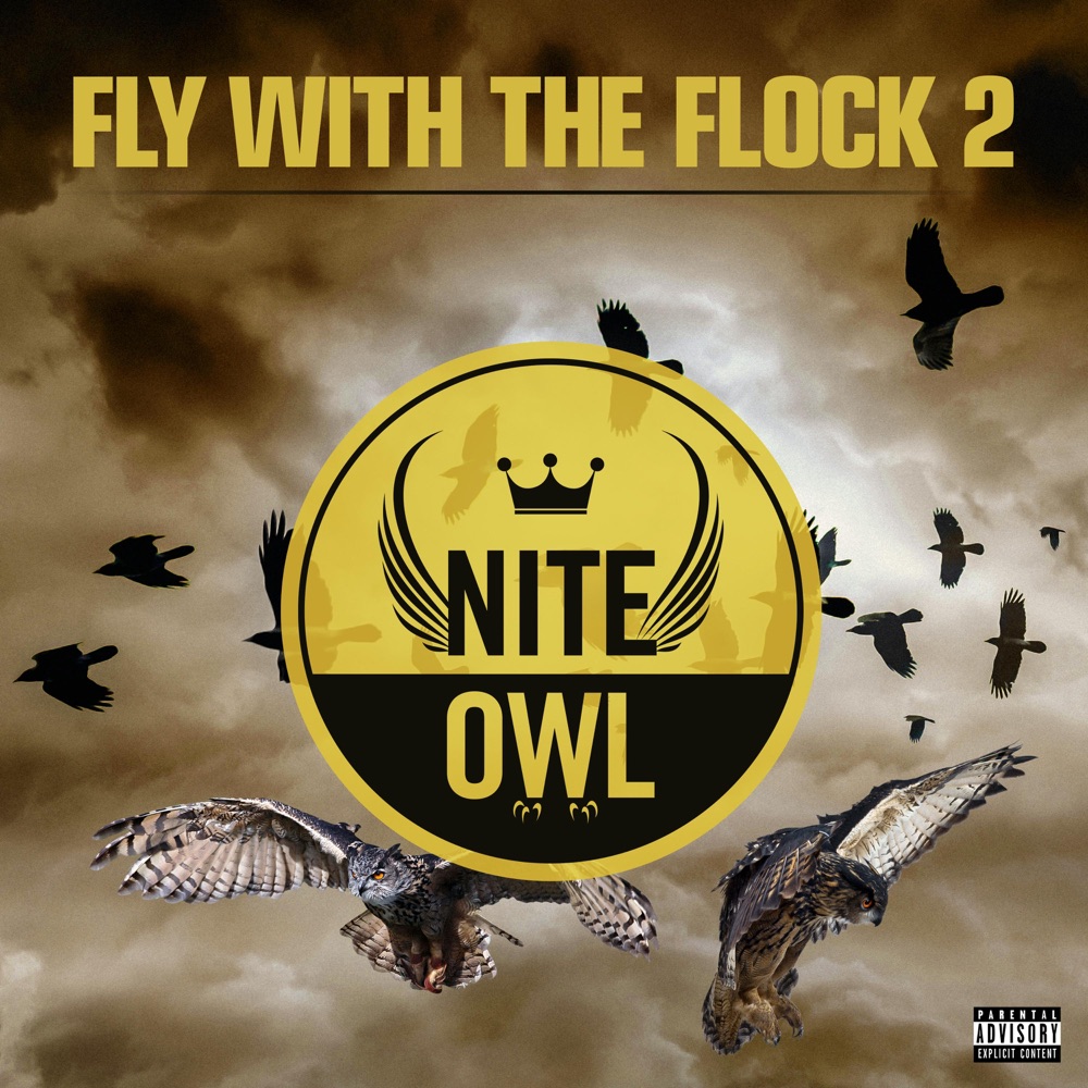 Обложка альбома «Fly With The Flock 2» — Nite Owl