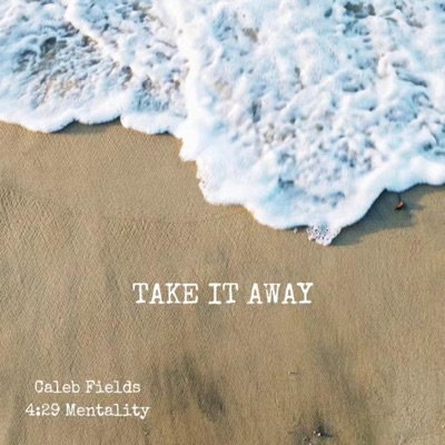 Take It Away (feat. 4:29 Mentality) - Single