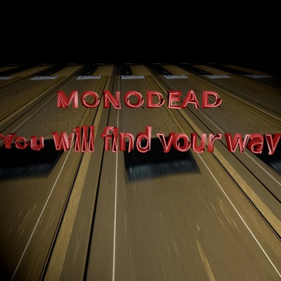 You will find your way - Single