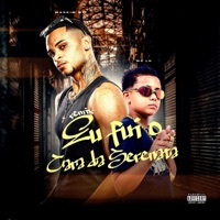 EU FUI O CARA DA SERENATA (Remix) - Single - Markim WF & MC LH