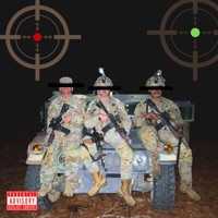 Kingdom (feat. Dick) - Single - Stoaks