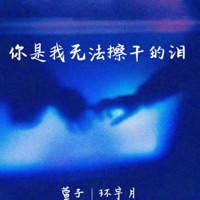 你是我无法擦干的泪 - Single - 萱子 & 环宇月