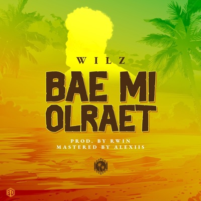 Wilz - Bae Mi Olraet
