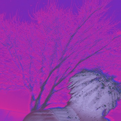 Eye Spy Bye - Single