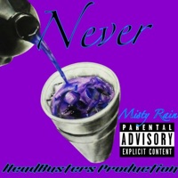 Never - Single - MrHighStakes
