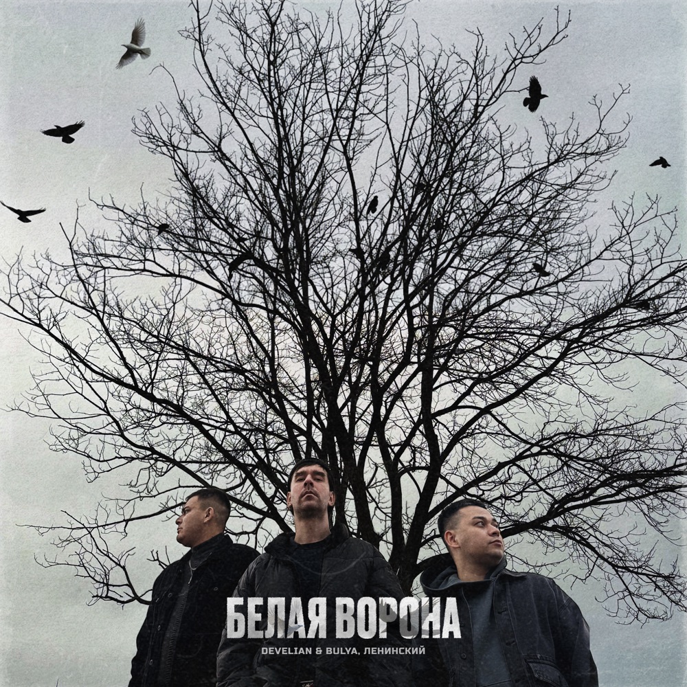 Обложка альбома «Белая ворона - Single» — Develian & Bulya & Ленинский