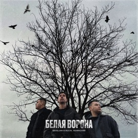 Белая ворона Develian & Bulya & Ленинский