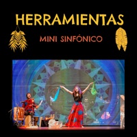 Herramientas Mini Sinfónico (En Directo en el Teatro Principal de Burgos) [feat. JOSBU] - Single - Ajayu dúo