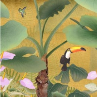 Exotic Garden - Single - Berny