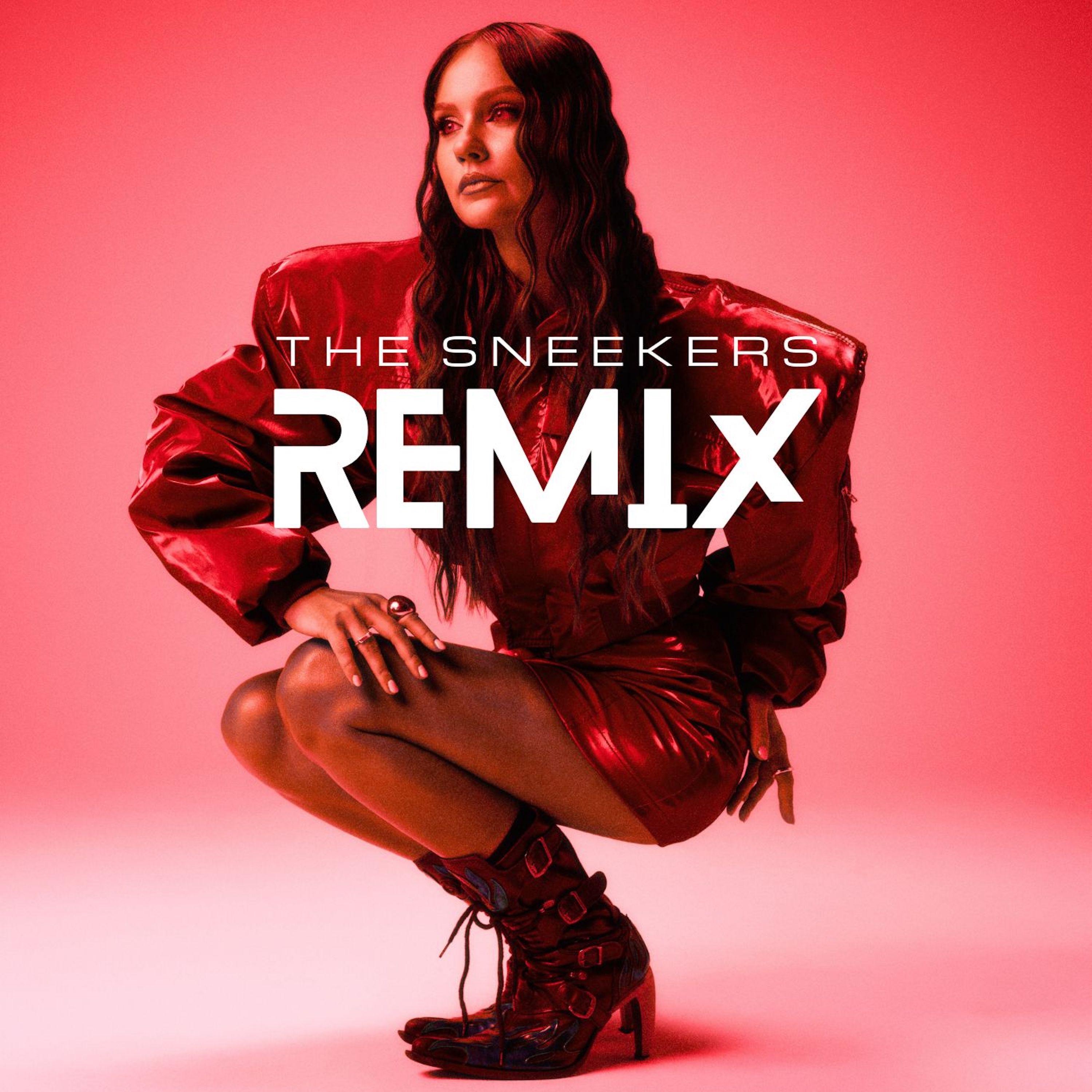 Vilko Akių (The Sneekers Remix) - Single