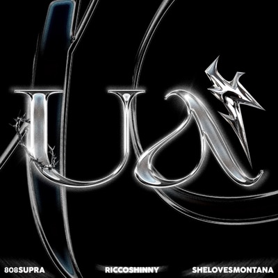 UA (feat. RiccoShinny) - Single