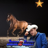 La MUCHACHITA ALEGRE - Single - Jorge Jq Torres